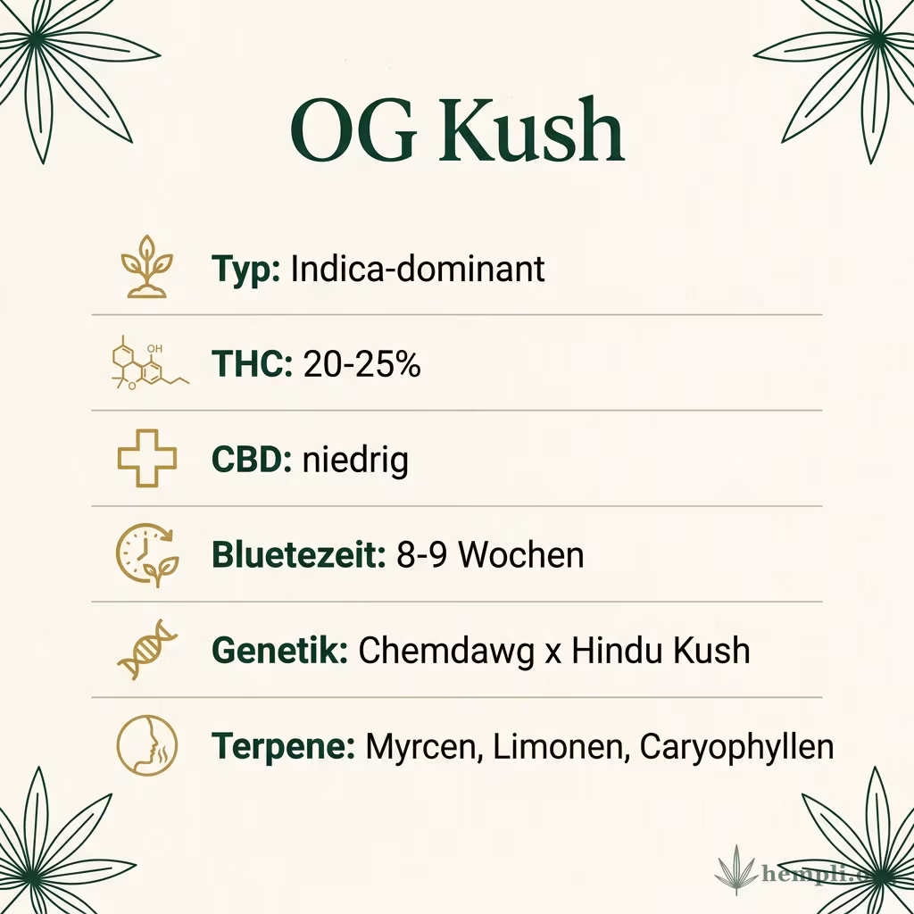 Infografik mit OG-Kush Key Facts: Typ Indica-dominant, THC 20-25%, Bluetezeit 8-9 Wochen, Genetik Chemdawg x Lemon Thai x Hindu Kush und Terpene Myrcen, Limonen, Caryophyllen