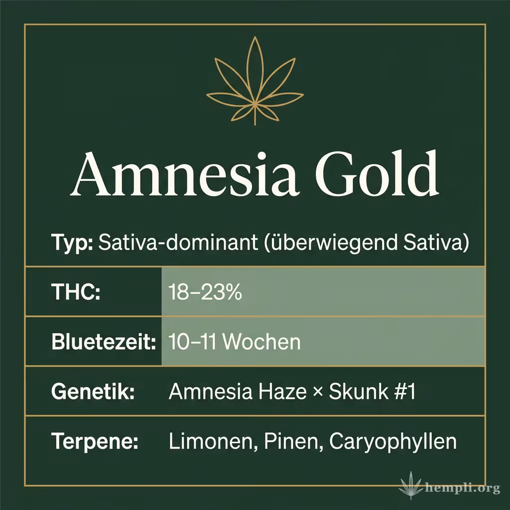 Infografik mit Amnesia Gold Key Facts: Typ Sativa-dominant (überwiegend Sativa), THC 18-23%, Bluetezeit 10-11 Wochen, Genetik Amnesia Haze × Skunk #1 und Terpene Limonen, Pinen, Caryophyllen
