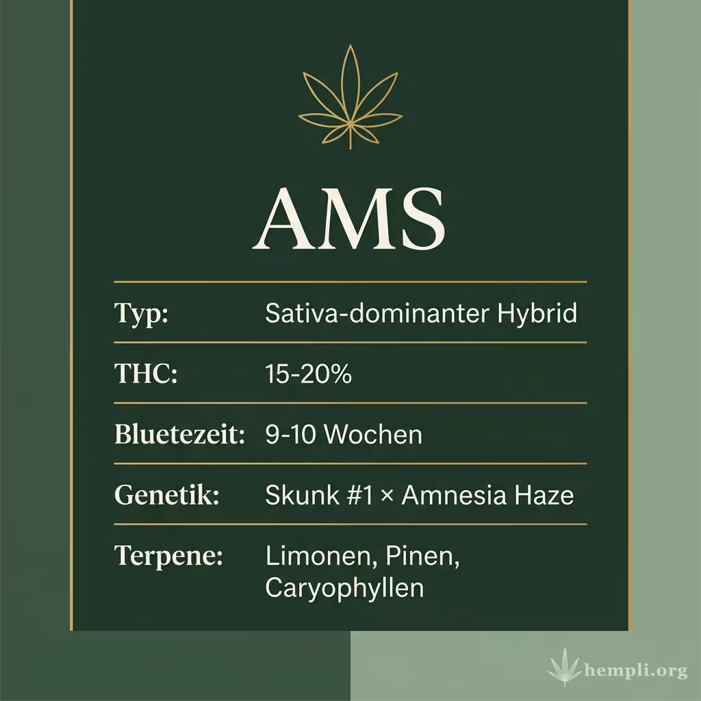 Infografik mit AMS Key Facts: Typ Sativa-dominanter Hybrid, THC 15-20%, Bluetezeit 9-10 Wochen, Genetik Skunk #1 × Amnesia Haze und Terpene Limonen, Pinen, Caryophyllen