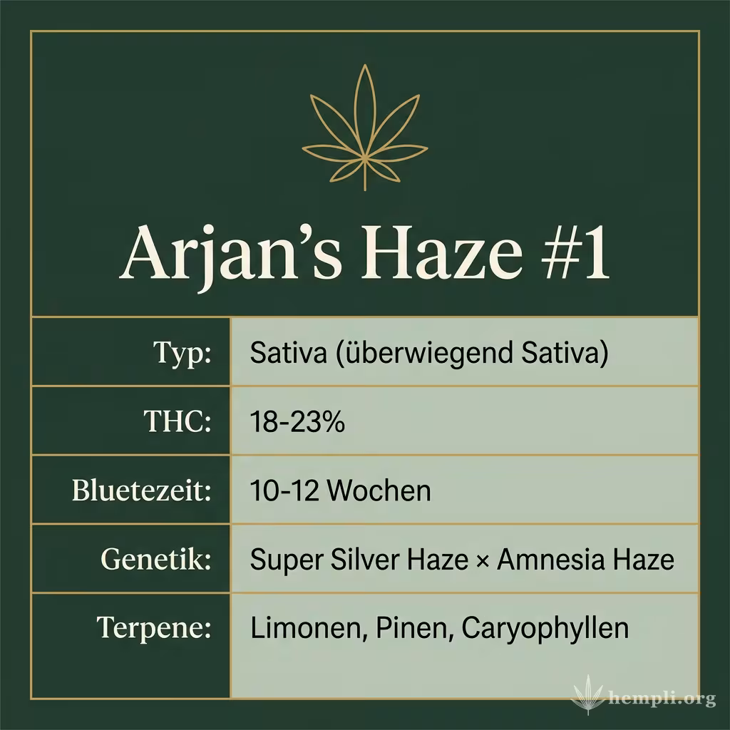 Infografik mit Arjan's Haze #1 Key Facts: Typ Sativa (überwiegend Sativa), THC 18-23%, Bluetezeit 10-12 Wochen, Genetik Super Silver Haze × Amnesia Haze und Terpene Limonen, Pinen, Caryophyllen