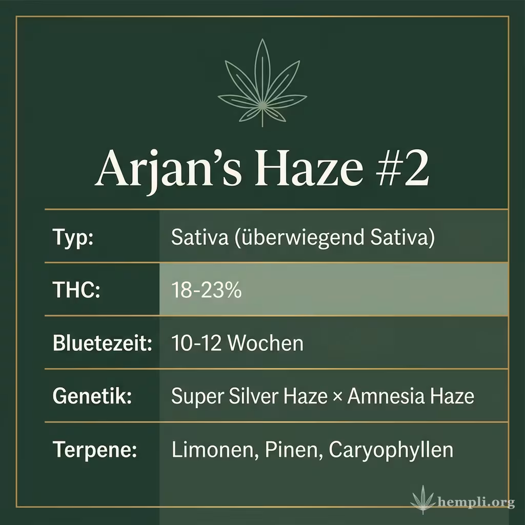 Infografik mit Arjan's Haze #2 Key Facts: Typ Sativa (überwiegend Sativa), THC 18-23%, Bluetezeit 10-12 Wochen, Genetik Super Silver Haze × Amnesia Haze und Terpene Limonen, Pinen, Caryophyllen