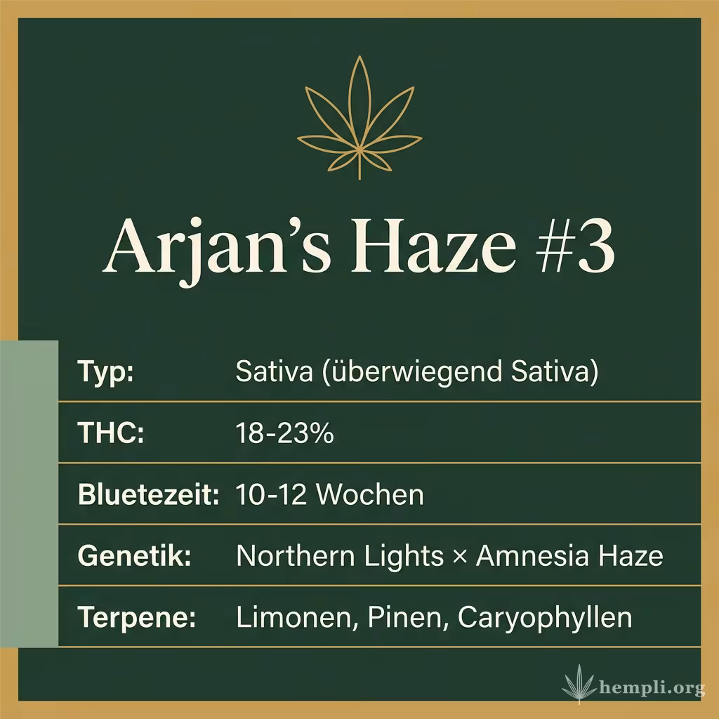 Infografik mit Arjan's Haze #3 Key Facts: Typ Sativa (überwiegend Sativa), THC 18-23%, Bluetezeit 10-12 Wochen, Genetik Northern Lights × Amnesia Haze und Terpene Limonen, Pinen, Caryophyllen