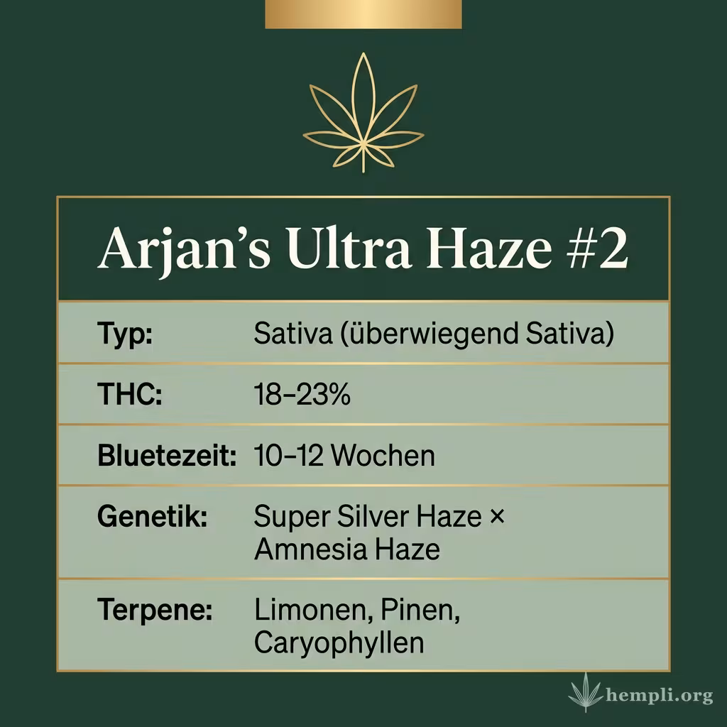 Infografik mit Arjan's Ultra Haze #2 Key Facts: Typ Sativa (überwiegend Sativa), THC 18-23%, Bluetezeit 10-12 Wochen, Genetik Super Silver Haze × Amnesia Haze und Terpene Limonen, Pinen, Caryophyllen