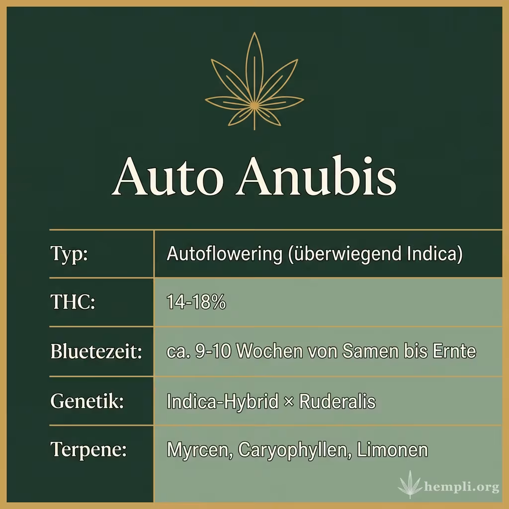 Infografik mit Auto Anubis Key Facts: Typ Autoflowering (überwiegend Indica), THC 14-18%, Bluetezeit ca. 9-10 Wochen von Samen bis Ernte, Genetik Indica-Hybrid × Ruderalis und Terpene Myrcen, Caryophyllen, Limonen