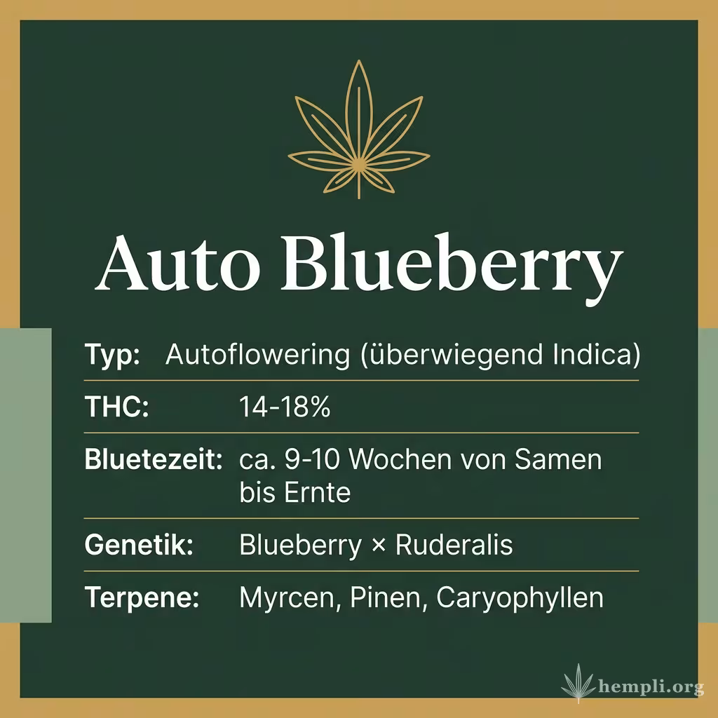 Infografik mit Auto Blueberry Key Facts: Typ Autoflowering (überwiegend Indica), THC 14-18%, Bluetezeit ca. 9-10 Wochen von Samen bis Ernte, Genetik Blueberry × Ruderalis und Terpene Myrcen, Pinen, Caryophyllen