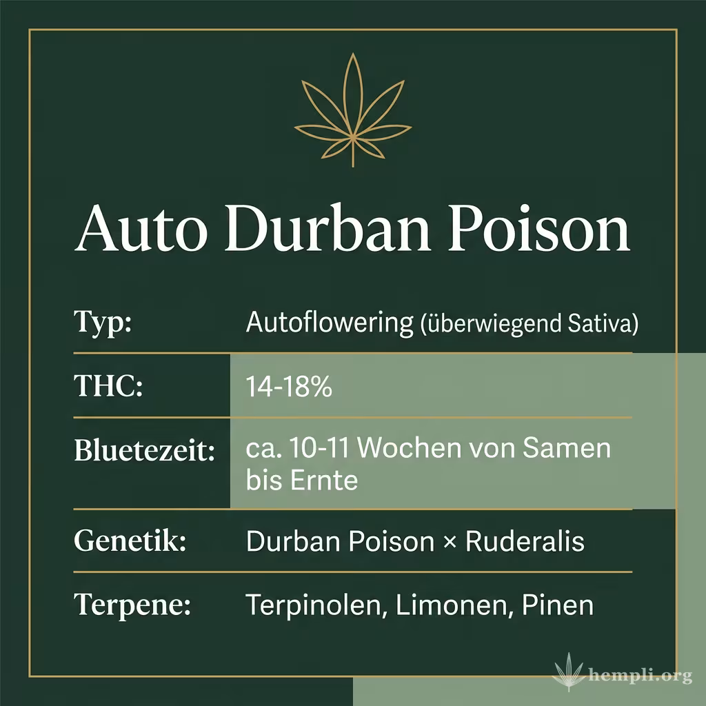 Infografik mit Auto Durban Poison Key Facts: Typ Autoflowering (überwiegend Sativa), THC 14-18%, Bluetezeit ca. 10-11 Wochen von Samen bis Ernte, Genetik Durban Poison × Ruderalis und Terpene Terpinolen, Limonen, Pinen