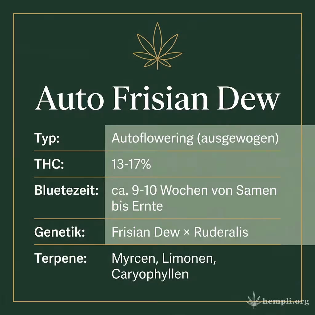 Infografik mit Auto Frisian Dew Key Facts: Typ Autoflowering (ausgewogen), THC 13-17%, Bluetezeit ca. 9-10 Wochen von Samen bis Ernte, Genetik Frisian Dew × Ruderalis und Terpene Myrcen, Limonen, Caryophyllen