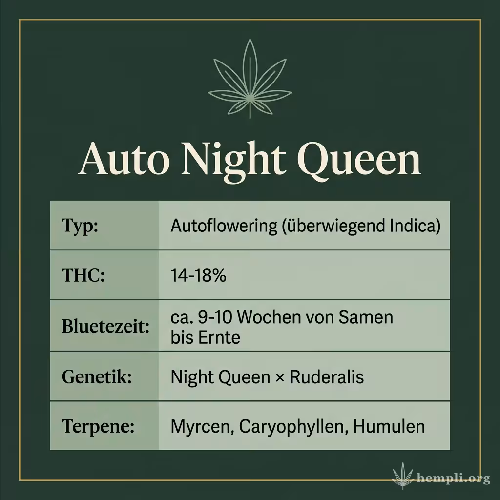 Infografik mit Auto Night Queen Key Facts: Typ Autoflowering (überwiegend Indica), THC 14-18%, Bluetezeit ca. 9-10 Wochen von Samen bis Ernte, Genetik Night Queen × Ruderalis und Terpene Myrcen, Caryophyllen, Humulen