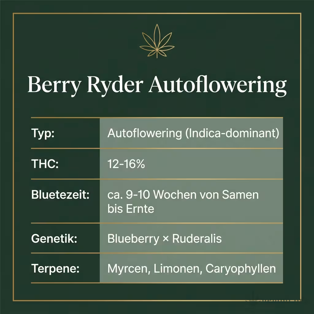 Infografik mit Berry Ryder Autoflowering Key Facts: Typ Autoflowering (Indica-dominant), THC 12-16%, Bluetezeit ca. 9-10 Wochen von Samen bis Ernte, Genetik Blueberry × Ruderalis und Terpene Myrcen, Limonen, Caryophyllen