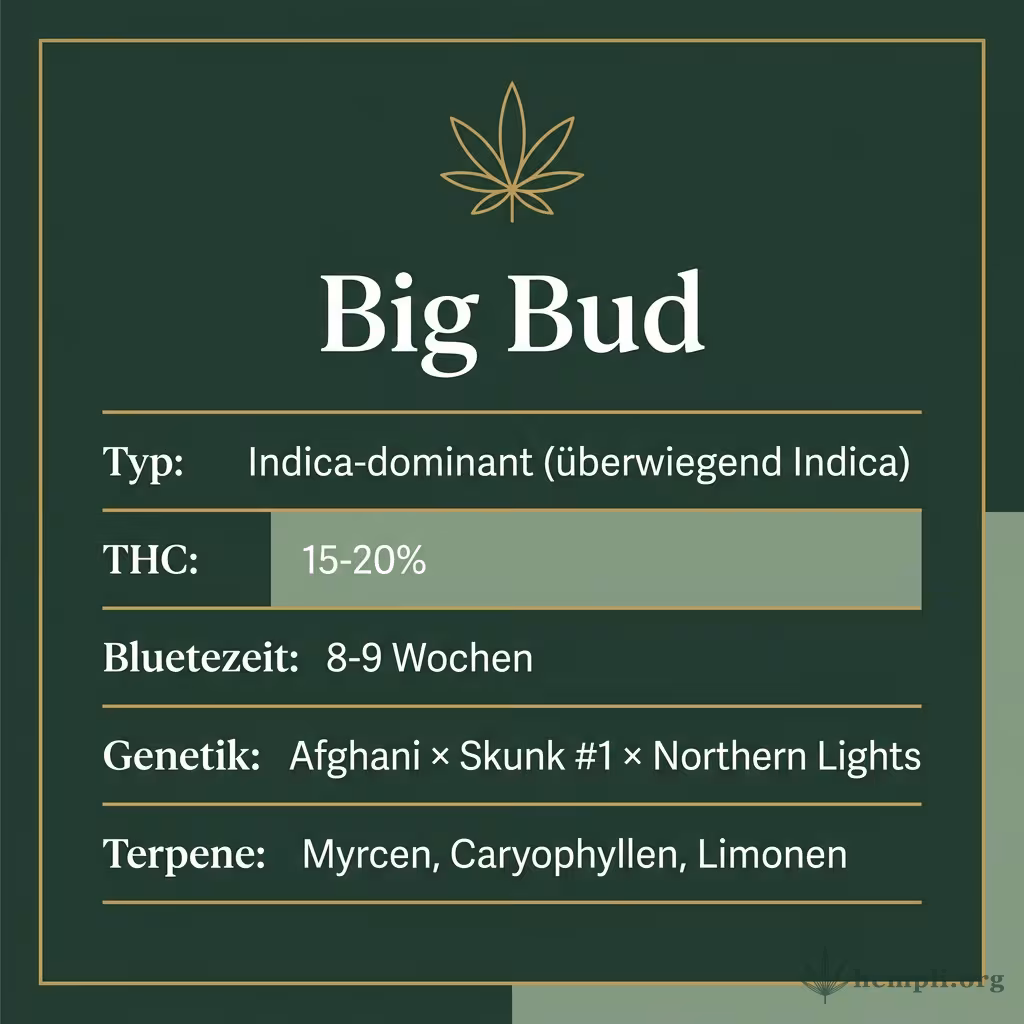 Infografik mit Big-Bud Key Facts: Typ Indica-dominant, THC 15-20%, Bluetezeit 8-9 Wochen, Genetik Afghani x Skunk 1 x Northern Lights und Terpene Myrcen, Caryophyllen, Limonen