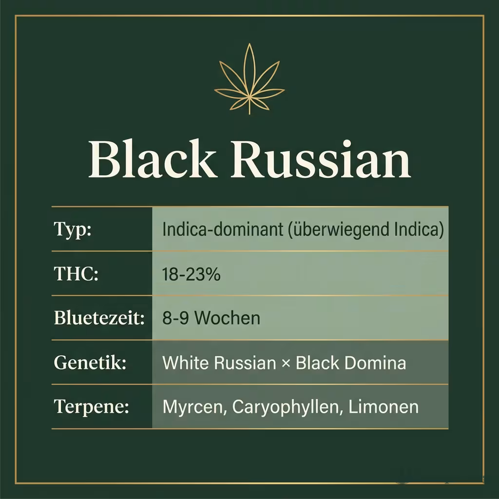 Infografik mit Black Russian Key Facts: Typ Indica-dominant (überwiegend Indica), THC 18-23%, Bluetezeit 8-9 Wochen, Genetik White Russian × Black Domina und Terpene Myrcen, Caryophyllen, Limonen