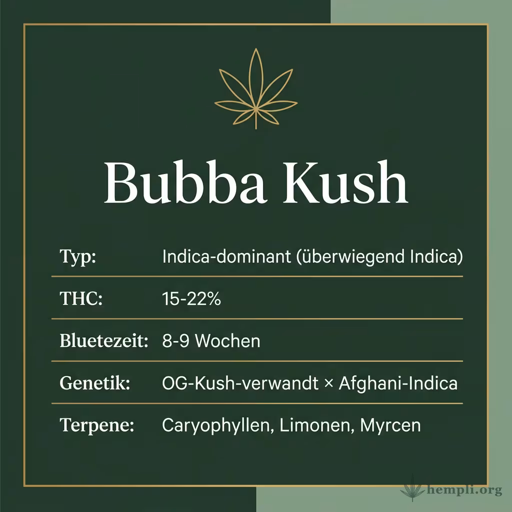 Infografik mit Bubba-Kush Key Facts: Typ Indica-dominant, THC 15-22%, Bluetezeit 8-9 Wochen, Genetik OG-Kush-verwandt x Afghani und Terpene Caryophyllen, Limonen, Myrcen
