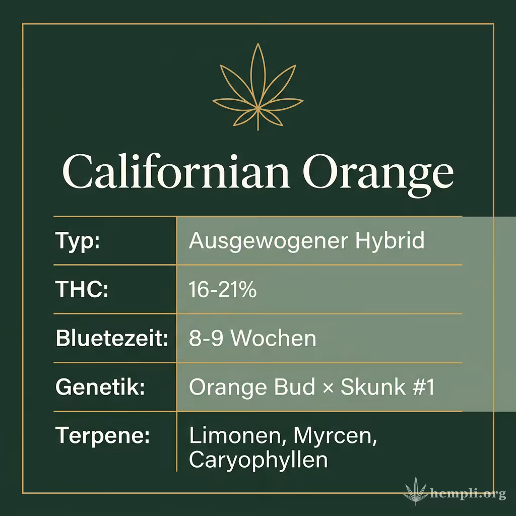 Infografik mit Californian Orange Key Facts: Typ Ausgewogener Hybrid, THC 16-21%, Bluetezeit 8-9 Wochen, Genetik Orange Bud × Skunk #1 und Terpene Limonen, Myrcen, Caryophyllen
