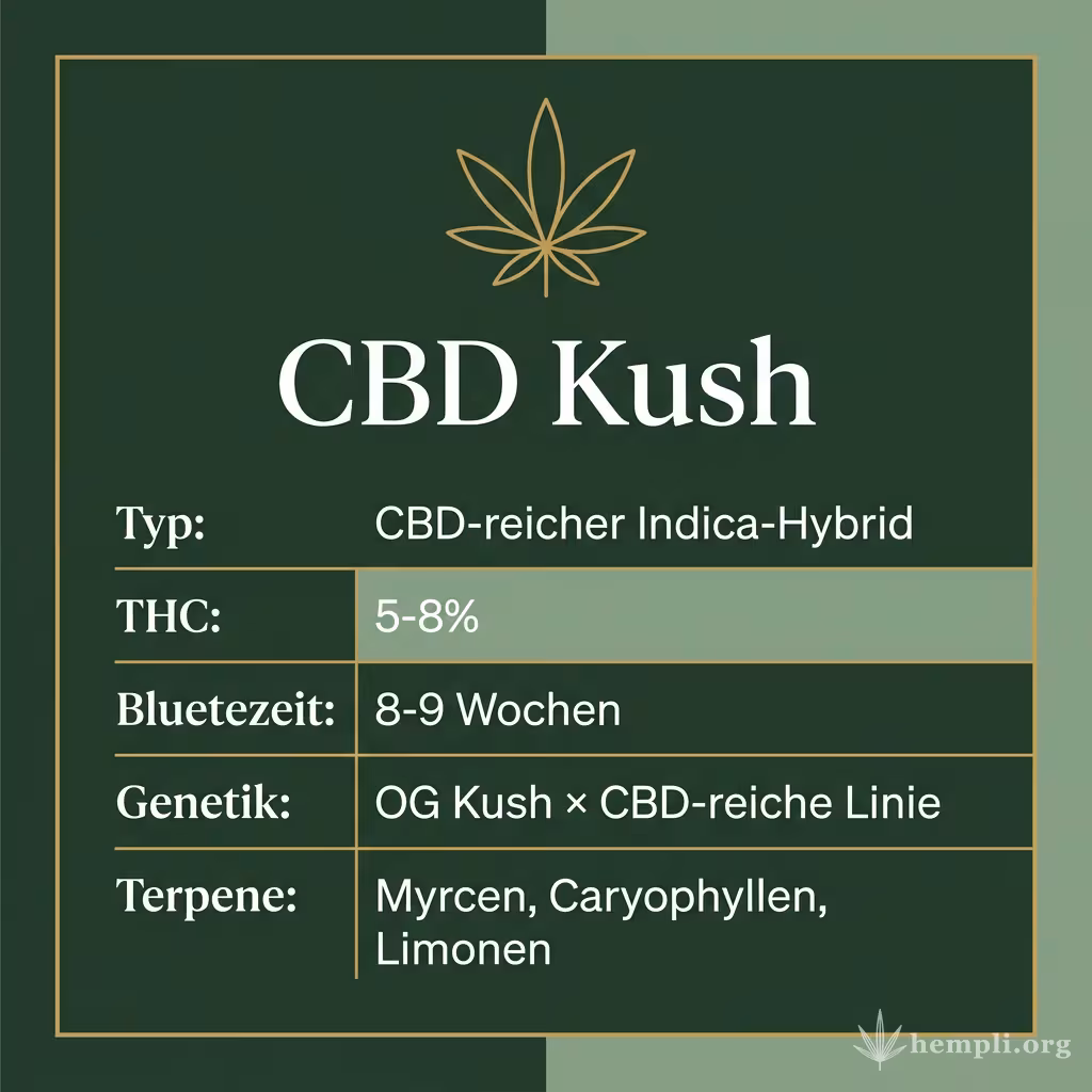 Infografik mit CBD Kush Key Facts: Typ CBD-reicher Indica-Hybrid, THC 5-8%, Bluetezeit 8-9 Wochen, Genetik OG Kush × CBD-reiche Linie und Terpene Myrcen, Caryophyllen, Limonen