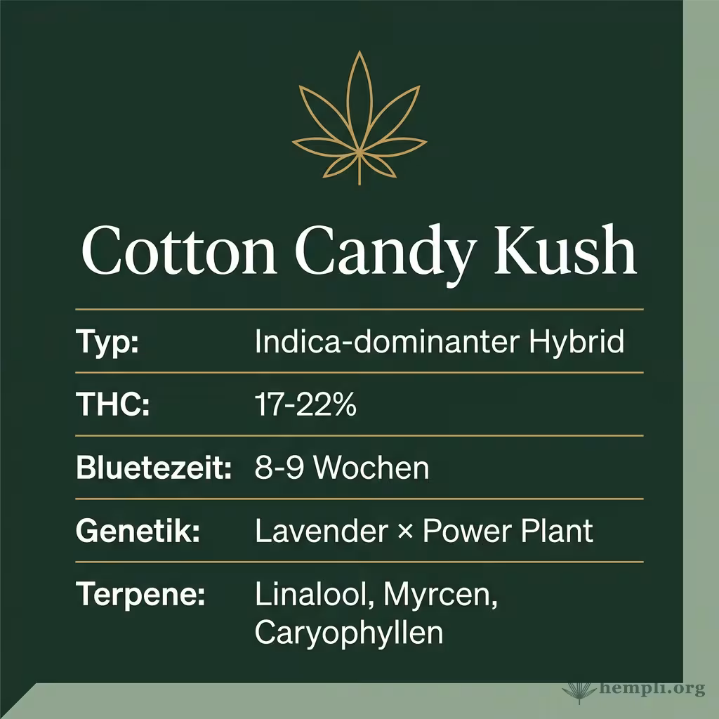 Infografik mit Cotton Candy Kush Key Facts: Typ Indica-dominanter Hybrid, THC 17-22%, Bluetezeit 8-9 Wochen, Genetik Lavender × Power Plant und Terpene Linalool, Myrcen, Caryophyllen