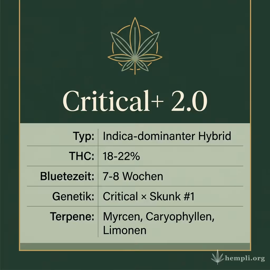Infografik mit Critical+ 2.0 Key Facts: Typ Indica-dominanter Hybrid, THC 18-22%, Bluetezeit 7-8 Wochen, Genetik Critical × Skunk #1 und Terpene Myrcen, Caryophyllen, Limonen