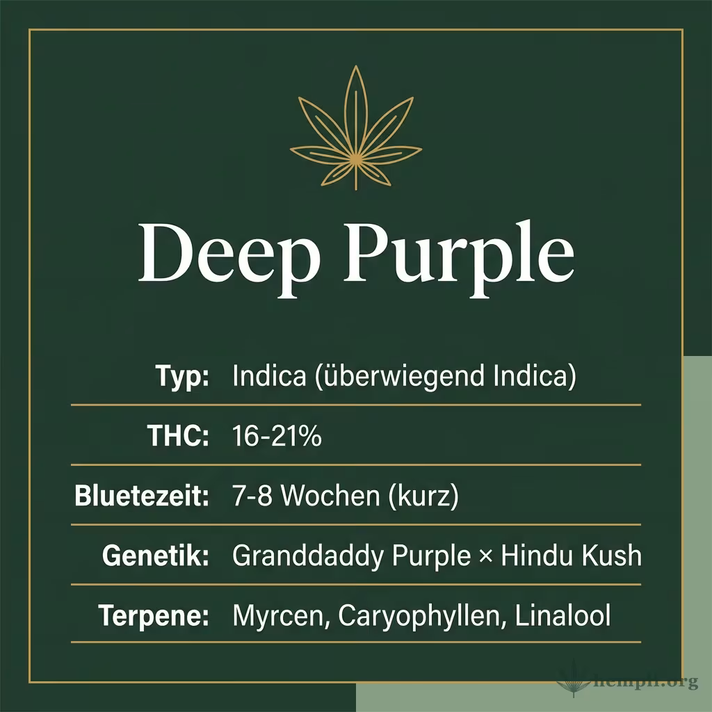 Infografik mit Deep Purple Key Facts: Typ Indica (überwiegend Indica), THC 16-21%, Bluetezeit 7-8 Wochen (kurz), Genetik Granddaddy Purple × Hindu Kush und Terpene Myrcen, Caryophyllen, Linalool