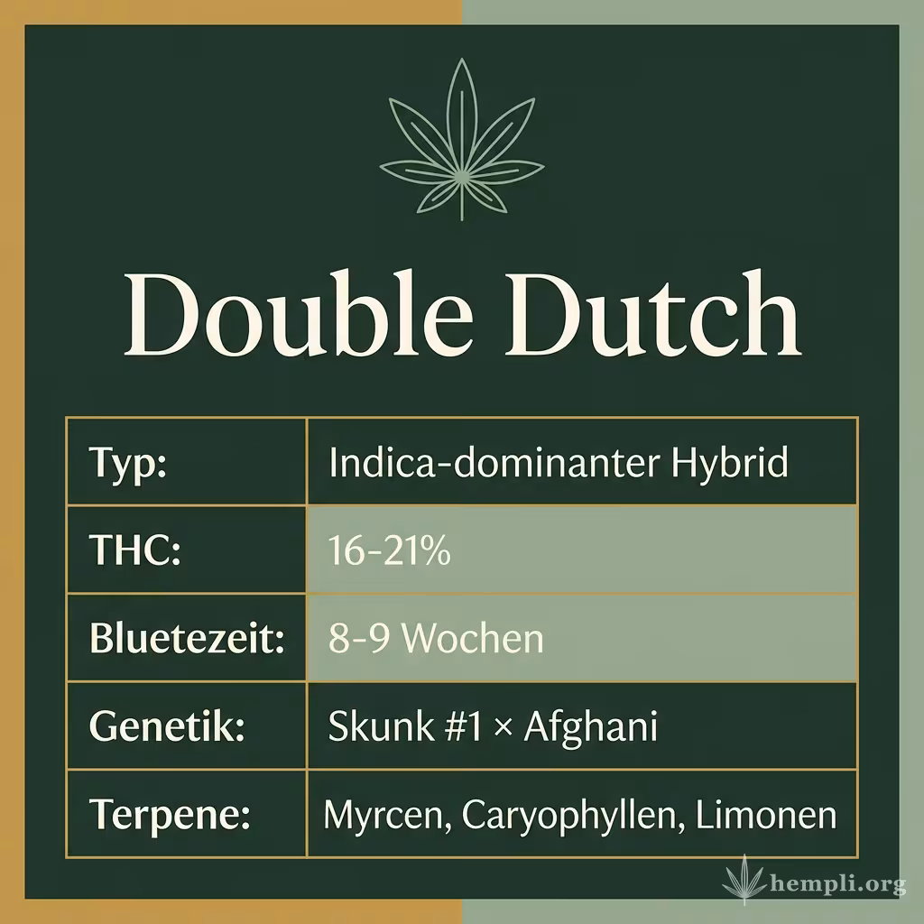 Infografik mit Double Dutch Key Facts: Typ Indica-dominanter Hybrid, THC 16-21%, Bluetezeit 8-9 Wochen, Genetik Skunk #1 × Afghani und Terpene Myrcen, Caryophyllen, Limonen