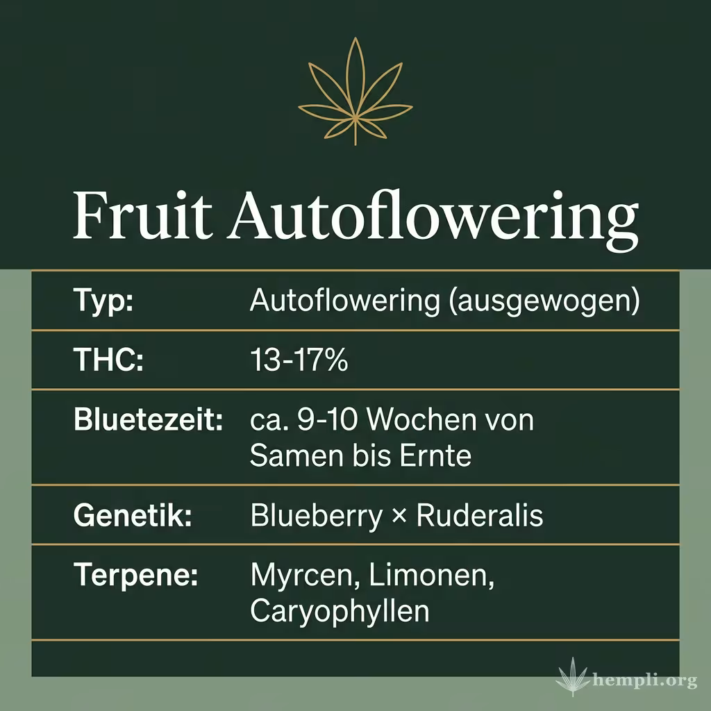 Infografik mit Fruit Autoflowering Key Facts: Typ Autoflowering (ausgewogen), THC 13-17%, Bluetezeit ca. 9-10 Wochen von Samen bis Ernte, Genetik Blueberry × Ruderalis und Terpene Myrcen, Limonen, Caryophyllen