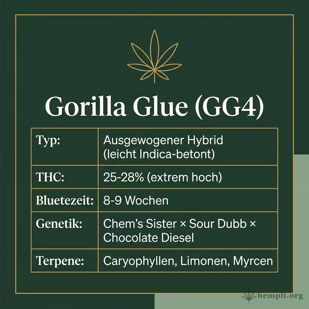 Infografik mit Gorilla-Glue Key Facts: Typ ausgewogener Hybrid, THC 25-28%, Bluetezeit 8-9 Wochen, Genetik Chem's Sister x Sour Dubb x Chocolate Diesel und Terpene Caryophyllen, Limonen, Myrcen