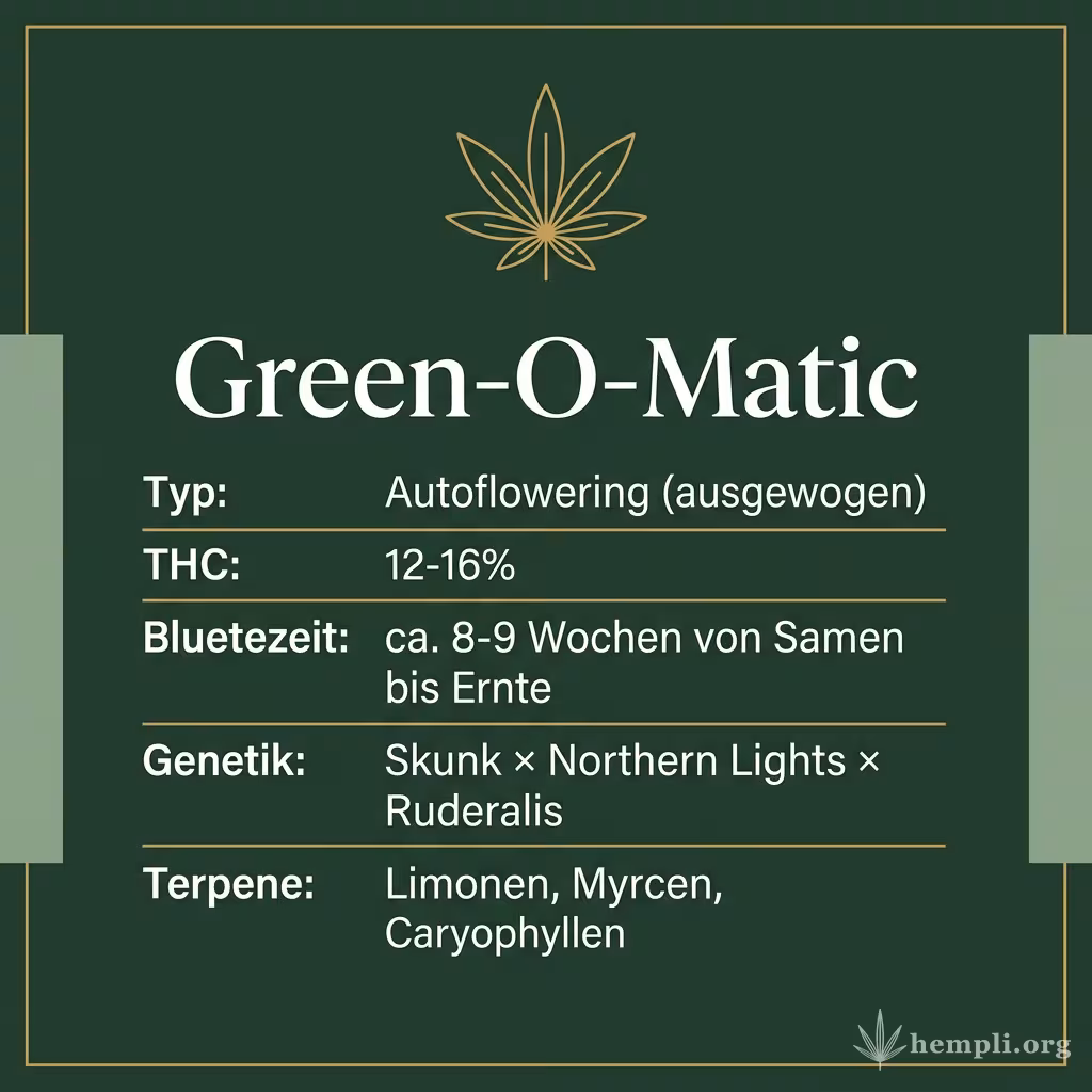 Infografik mit Green-O-Matic Key Facts: Typ Autoflowering (ausgewogen), THC 12-16%, Bluetezeit ca. 8-9 Wochen von Samen bis Ernte, Genetik Skunk × Northern Lights × Ruderalis und Terpene Limonen, Myrcen, Caryophyllen