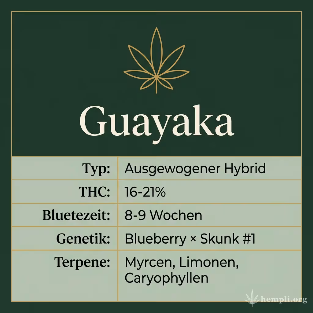 Infografik mit Guayaka Key Facts: Typ Ausgewogener Hybrid, THC 16-21%, Bluetezeit 8-9 Wochen, Genetik Blueberry × Skunk #1 und Terpene Myrcen, Limonen, Caryophyllen