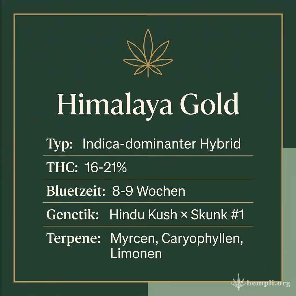 Infografik mit Himalaya Gold Key Facts: Typ Indica-dominanter Hybrid, THC 16-21%, Bluetezeit 8-9 Wochen, Genetik Hindu Kush × Skunk #1 und Terpene Myrcen, Caryophyllen, Limonen