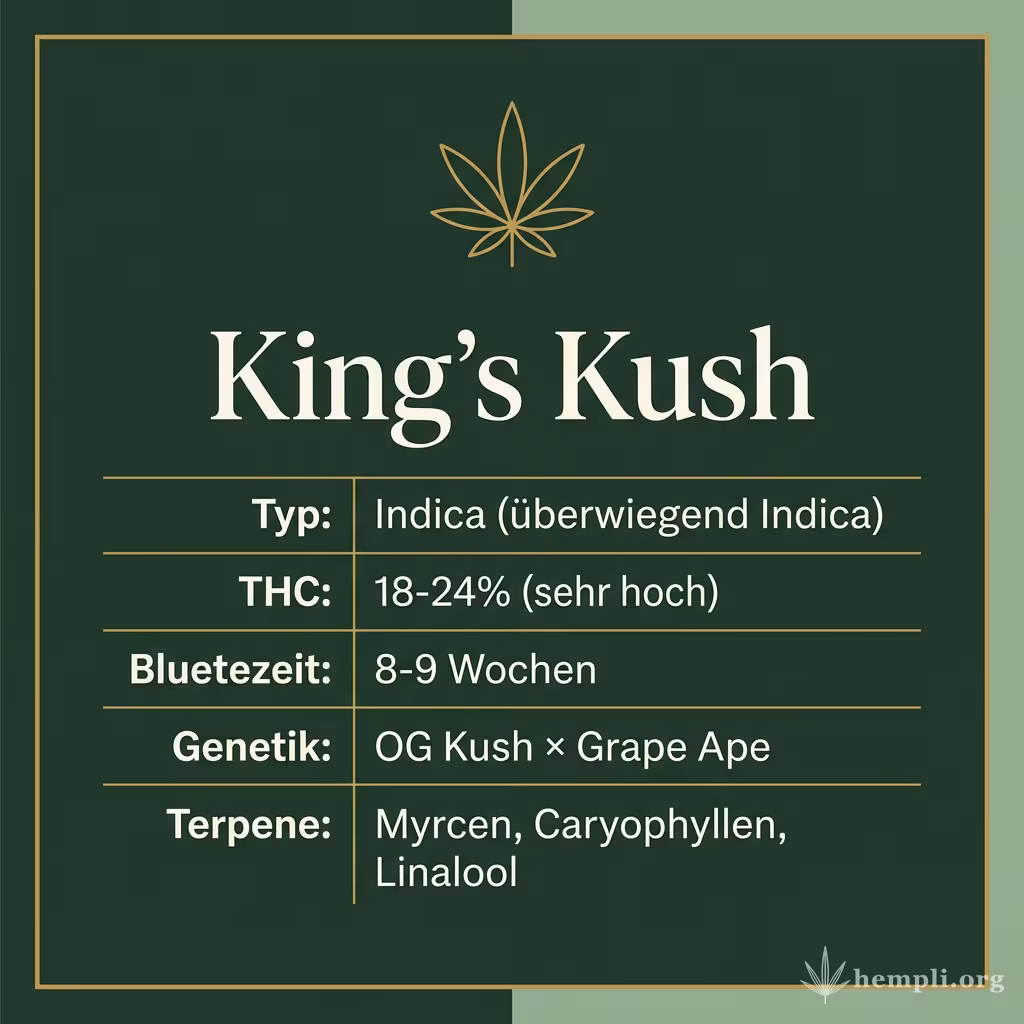 Infografik mit King's Kush Key Facts: Typ Indica (überwiegend Indica), THC 18-24% (sehr hoch), Bluetezeit 8-9 Wochen, Genetik OG Kush × Grape Ape und Terpene Myrcen, Caryophyllen, Linalool