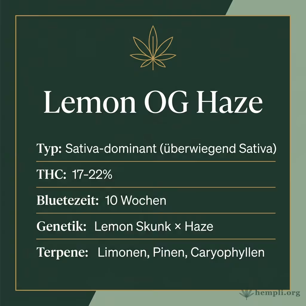 Infografik mit Lemon OG Haze Key Facts: Typ Sativa-dominant (überwiegend Sativa), THC 17-22%, Bluetezeit 10 Wochen, Genetik Lemon Skunk × Haze und Terpene Limonen, Pinen, Caryophyllen
