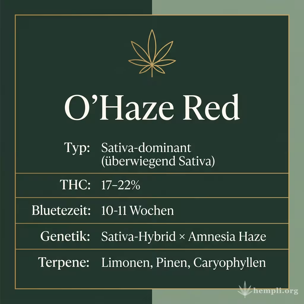 Infografik mit O'Haze Red Key Facts: Typ Sativa-dominant (überwiegend Sativa), THC 17-22%, Bluetezeit 10-11 Wochen, Genetik Sativa-Hybrid × Amnesia Haze und Terpene Limonen, Pinen, Caryophyllen
