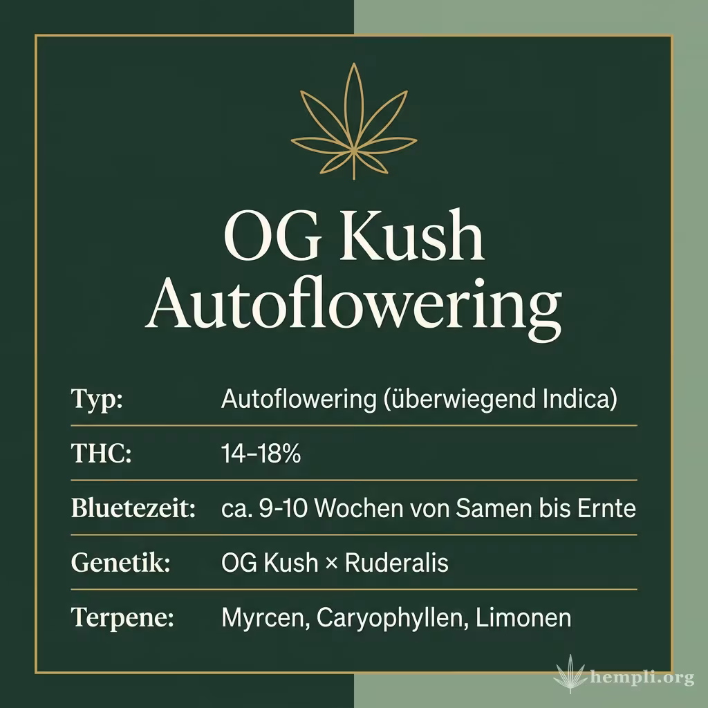 Infografik mit OG Kush Autoflowering Key Facts: Typ Autoflowering (überwiegend Indica), THC 14-18%, Bluetezeit ca. 9-10 Wochen von Samen bis Ernte, Genetik OG Kush × Ruderalis und Terpene Myrcen, Caryophyllen, Limonen