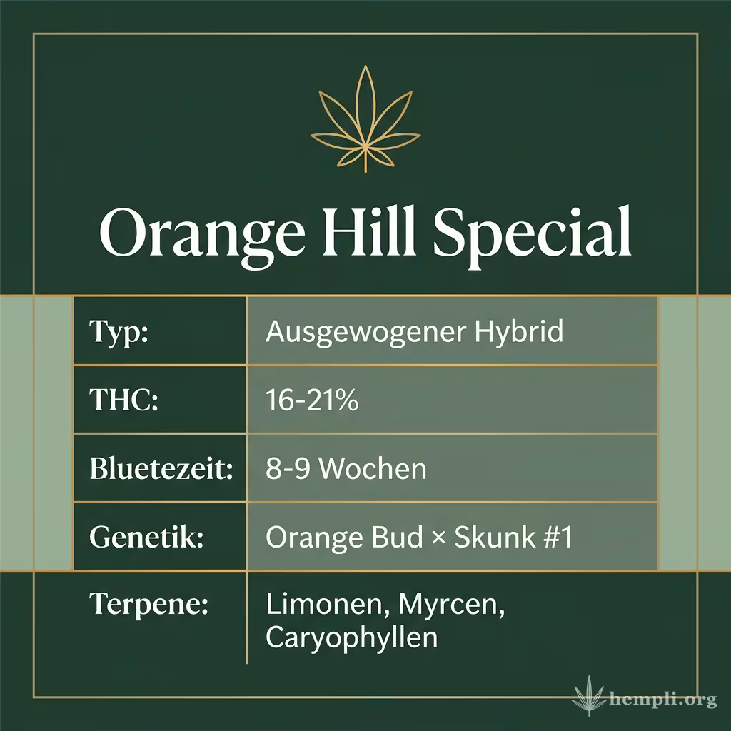 Infografik mit Orange Hill Special Key Facts: Typ Ausgewogener Hybrid, THC 16-21%, Bluetezeit 8-9 Wochen, Genetik Orange Bud × Skunk #1 und Terpene Limonen, Myrcen, Caryophyllen