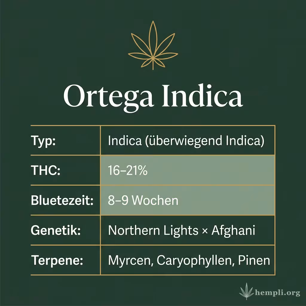 Infografik mit Ortega Indica Key Facts: Typ Indica (überwiegend Indica), THC 16-21%, Bluetezeit 8-9 Wochen, Genetik Northern Lights × Afghani und Terpene Myrcen, Caryophyllen, Pinen