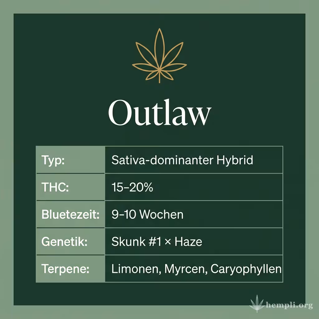 Infografik mit Outlaw Key Facts: Typ Sativa-dominanter Hybrid, THC 15-20%, Bluetezeit 9-10 Wochen, Genetik Skunk #1 × Haze und Terpene Limonen, Myrcen, Caryophyllen