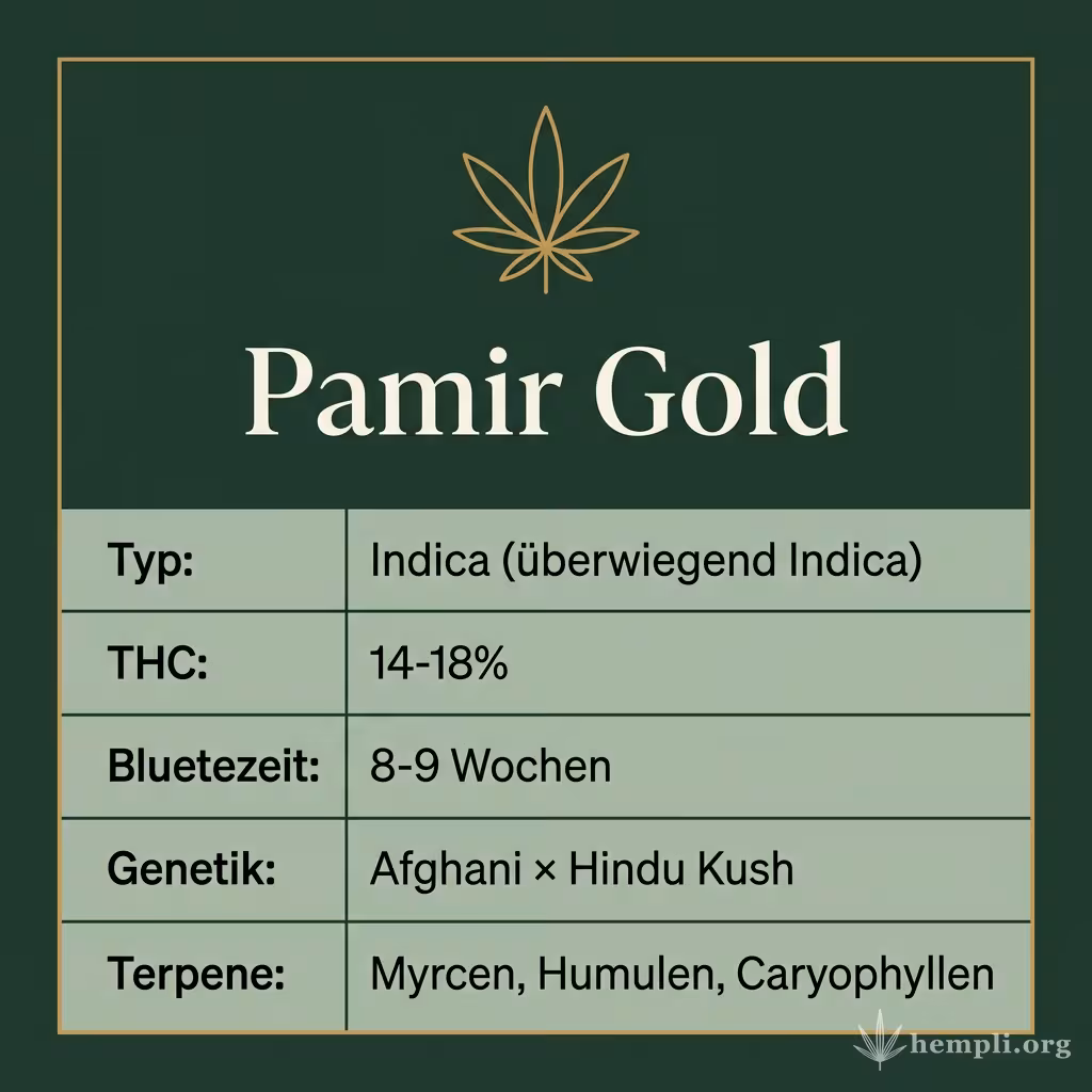 Infografik mit Pamir Gold Key Facts: Typ Indica (überwiegend Indica), THC 14-18%, Bluetezeit 8-9 Wochen, Genetik Afghani × Hindu Kush und Terpene Myrcen, Humulen, Caryophyllen