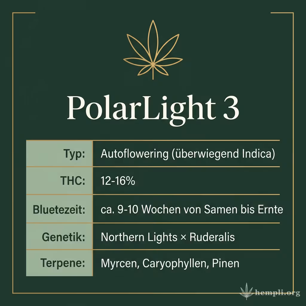 Infografik mit PolarLight 3 Key Facts: Typ Autoflowering (überwiegend Indica), THC 12-16%, Bluetezeit ca. 9-10 Wochen von Samen bis Ernte, Genetik Northern Lights × Ruderalis und Terpene Myrcen, Caryophyllen, Pinen