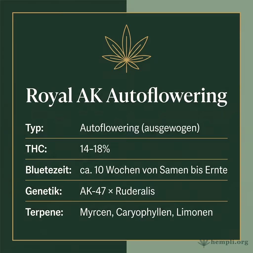 Infografik mit Royal AK Autoflowering Key Facts: Typ Autoflowering (ausgewogen), THC 14-18%, Bluetezeit ca. 10 Wochen von Samen bis Ernte, Genetik AK-47 × Ruderalis und Terpene Myrcen, Caryophyllen, Limonen