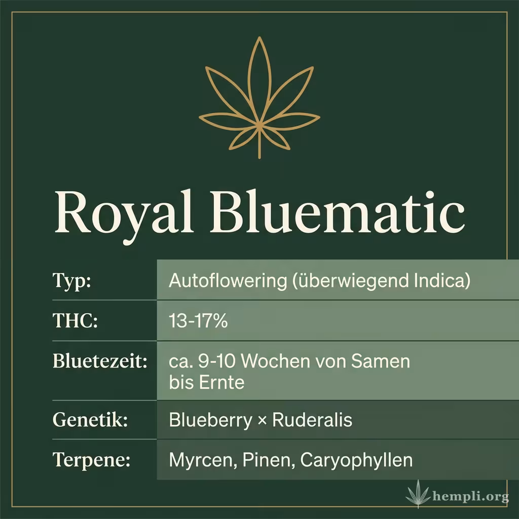Infografik mit Royal Bluematic Key Facts: Typ Autoflowering (überwiegend Indica), THC 13-17%, Bluetezeit ca. 9-10 Wochen von Samen bis Ernte, Genetik Blueberry × Ruderalis und Terpene Myrcen, Pinen, Caryophyllen