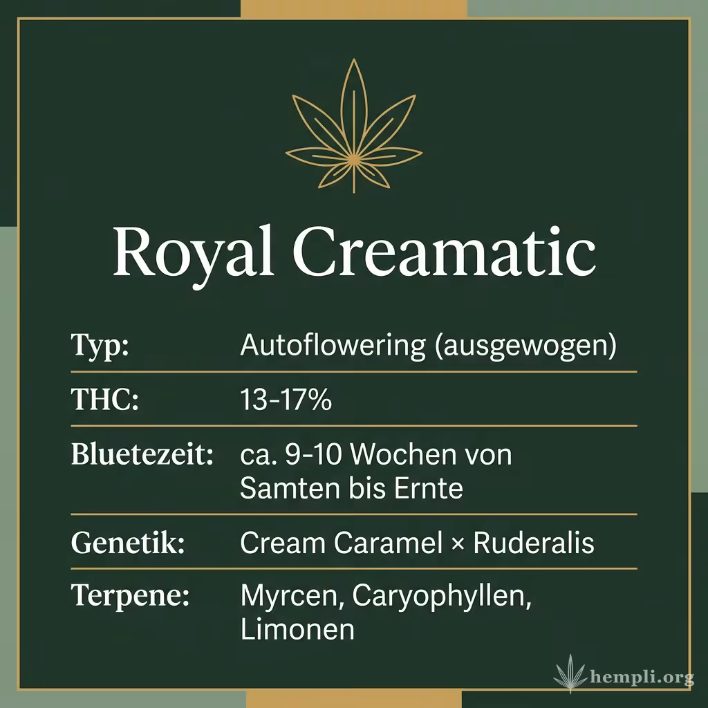 Infografik mit Royal Creamatic Key Facts: Typ Autoflowering (ausgewogen), THC 13-17%, Bluetezeit ca. 9-10 Wochen von Samen bis Ernte, Genetik Cream Caramel × Ruderalis und Terpene Myrcen, Caryophyllen, Limonen