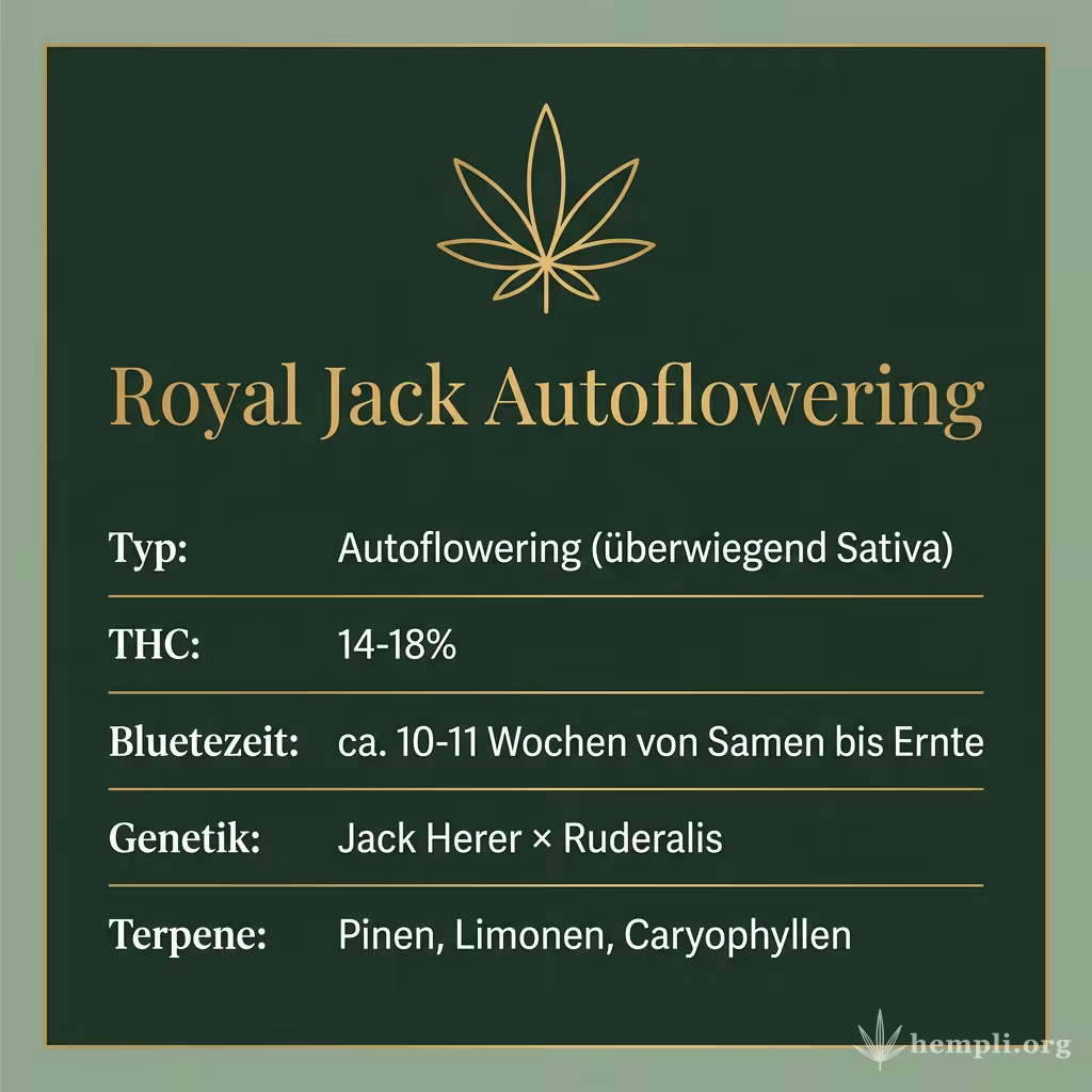 Infografik mit Royal Jack Autoflowering Key Facts: Typ Autoflowering (überwiegend Sativa), THC 14-18%, Bluetezeit ca. 10-11 Wochen von Samen bis Ernte, Genetik Jack Herer × Ruderalis und Terpene Pinen, Limonen, Caryophyllen
