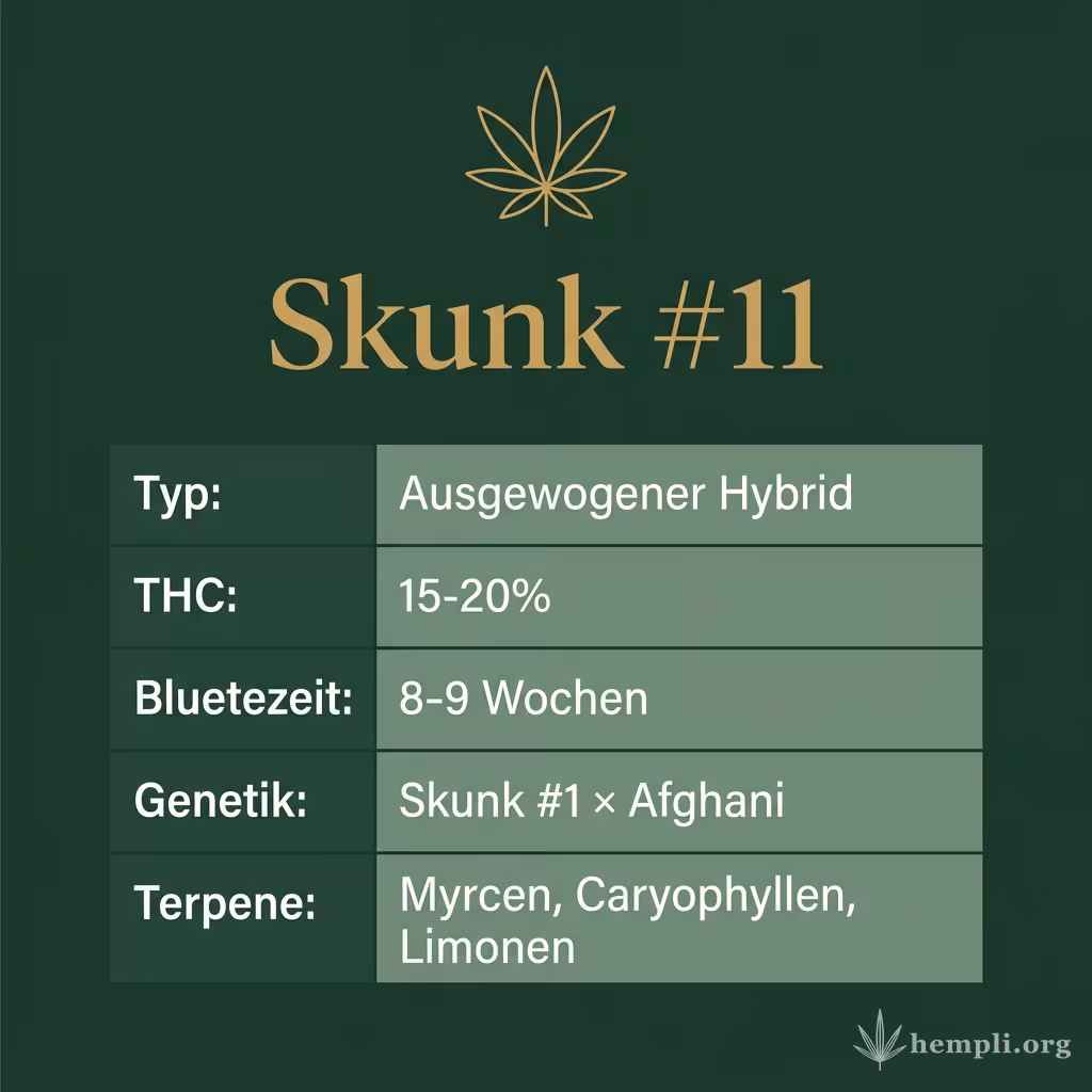 Infografik mit Skunk #11 Key Facts: Typ Ausgewogener Hybrid, THC 15-20%, Bluetezeit 8-9 Wochen, Genetik Skunk #1 × Afghani und Terpene Myrcen, Caryophyllen, Limonen