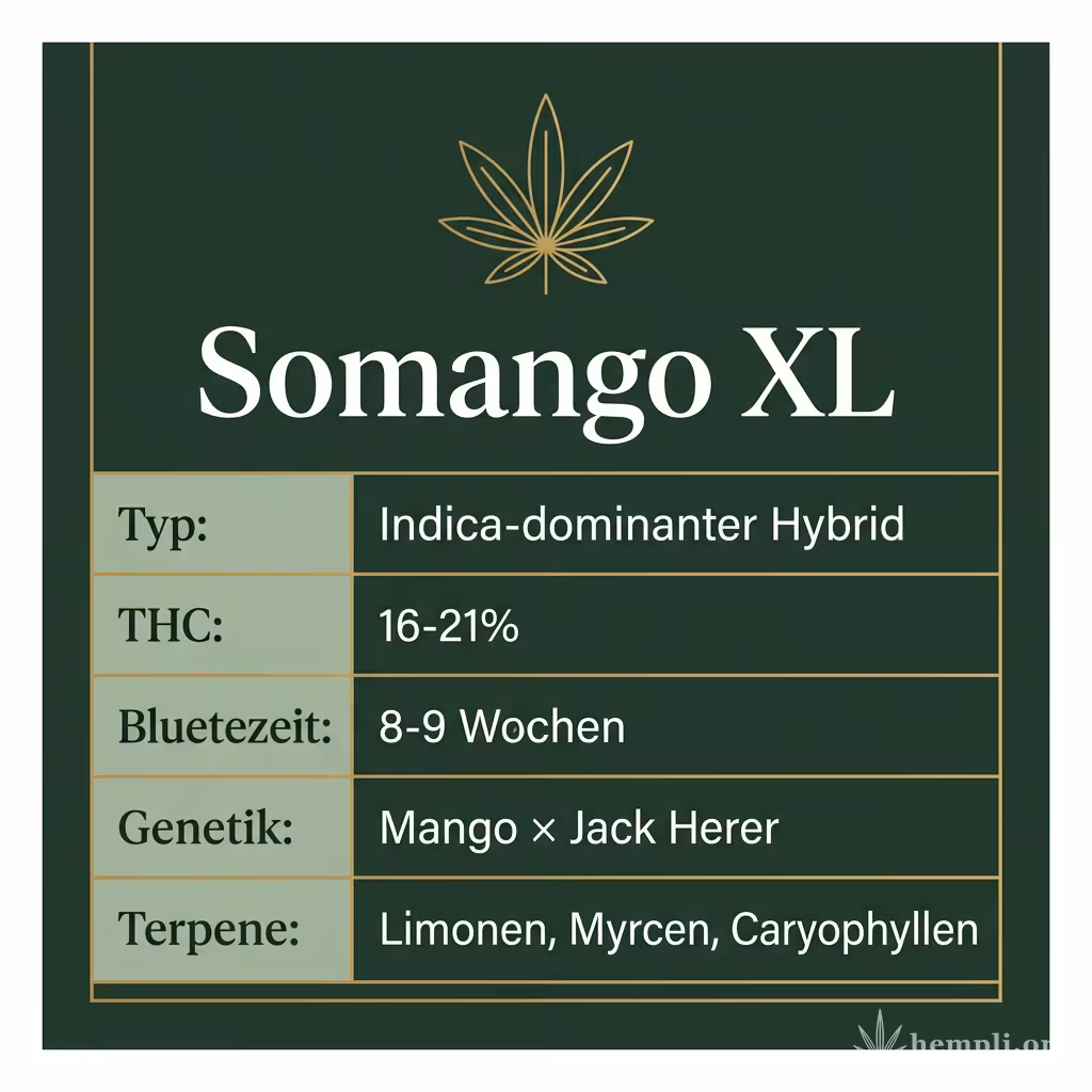 Infografik mit Somango XL Key Facts: Typ Indica-dominanter Hybrid, THC 16-21%, Bluetezeit 8-9 Wochen, Genetik Mango × Jack Herer und Terpene Limonen, Myrcen, Caryophyllen