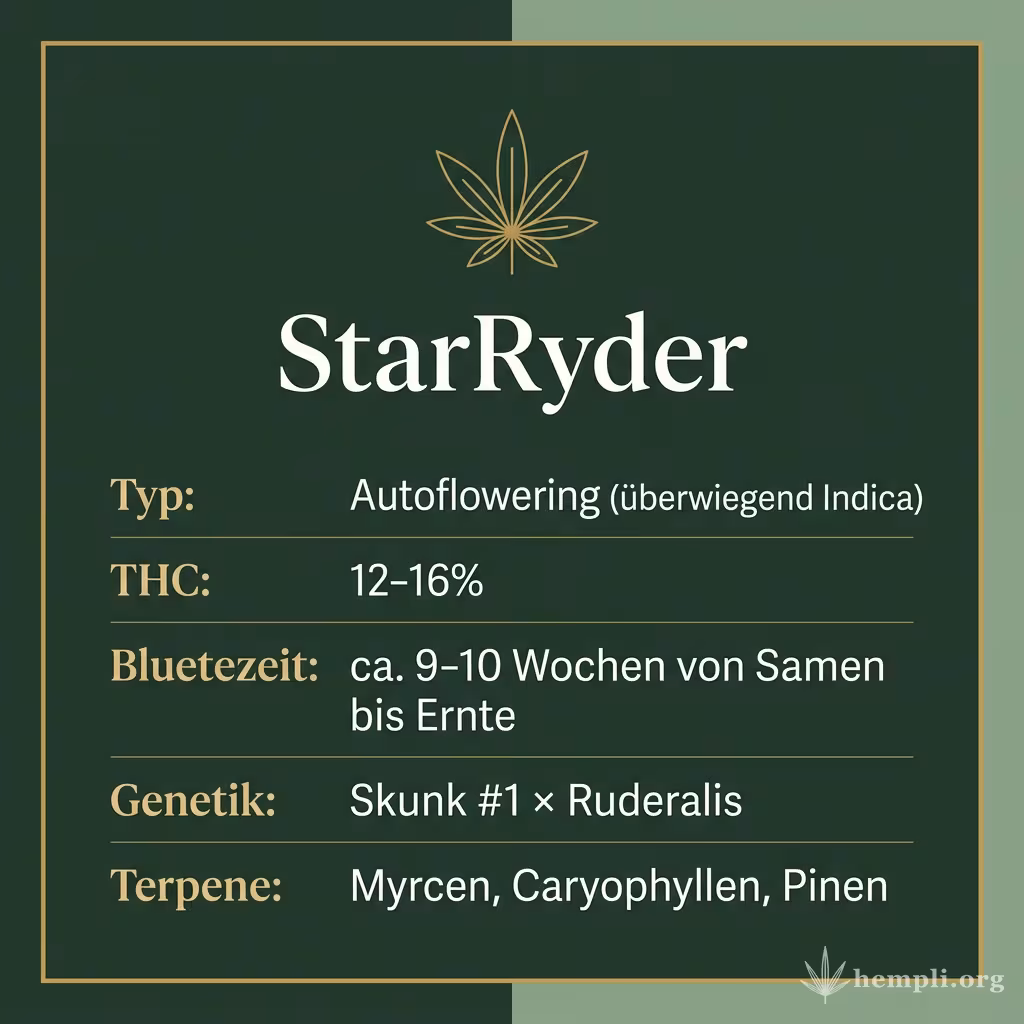Infografik mit StarRyder Key Facts: Typ Autoflowering (überwiegend Indica), THC 12-16%, Bluetezeit ca. 9-10 Wochen von Samen bis Ernte, Genetik Skunk #1 × Ruderalis und Terpene Myrcen, Caryophyllen, Pinen