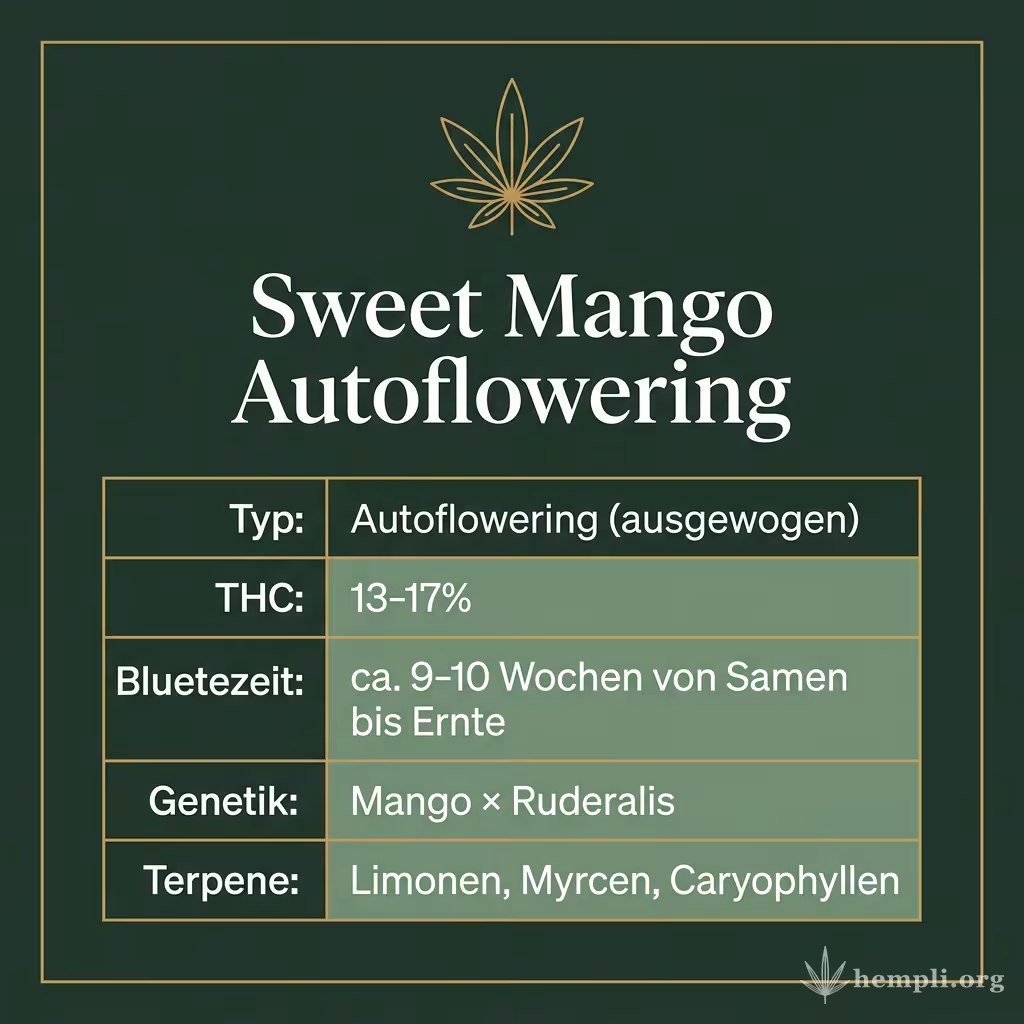Infografik mit Sweet Mango Autoflowering Key Facts: Typ Autoflowering (ausgewogen), THC 13-17%, Bluetezeit ca. 9-10 Wochen von Samen bis Ernte, Genetik Mango × Ruderalis und Terpene Limonen, Myrcen, Caryophyllen