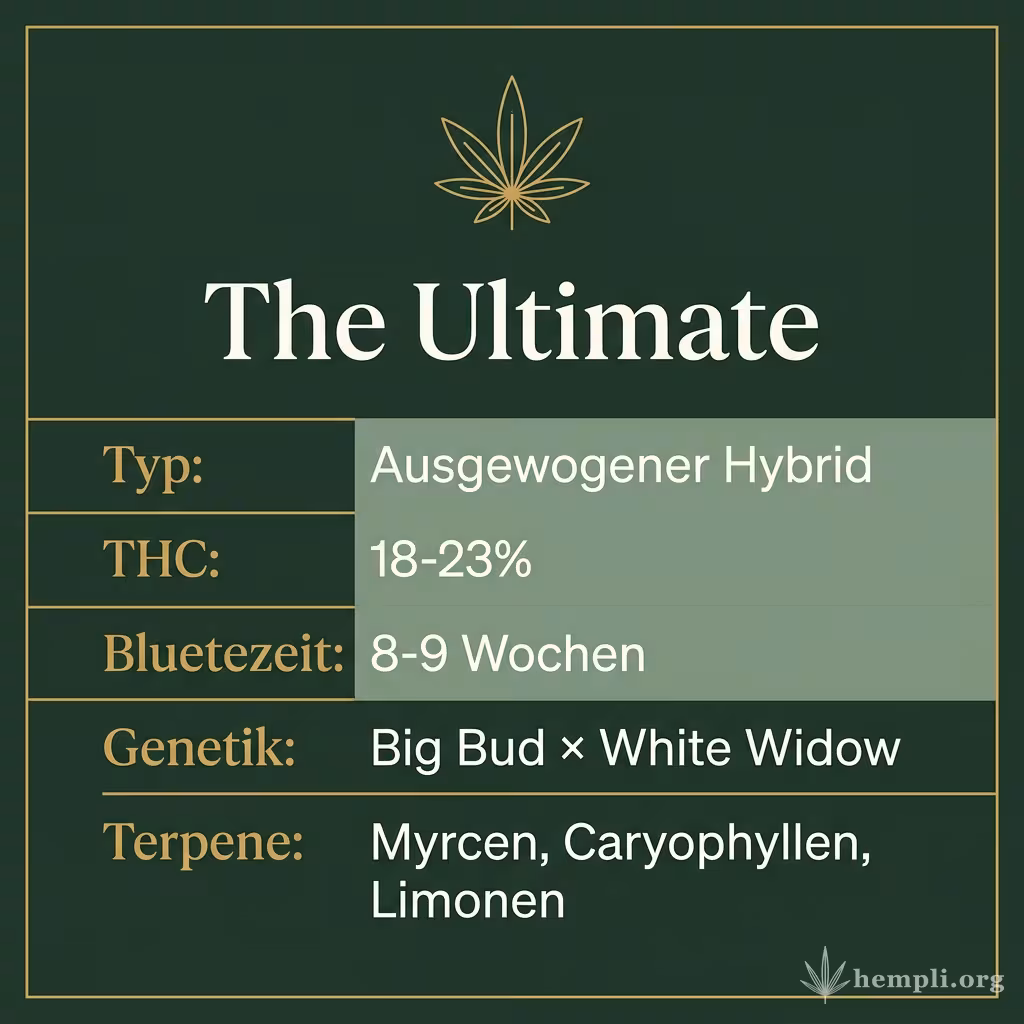 Infografik mit The Ultimate Key Facts: Typ Ausgewogener Hybrid, THC 18-23%, Bluetezeit 8-9 Wochen, Genetik Big Bud × White Widow und Terpene Myrcen, Caryophyllen, Limonen