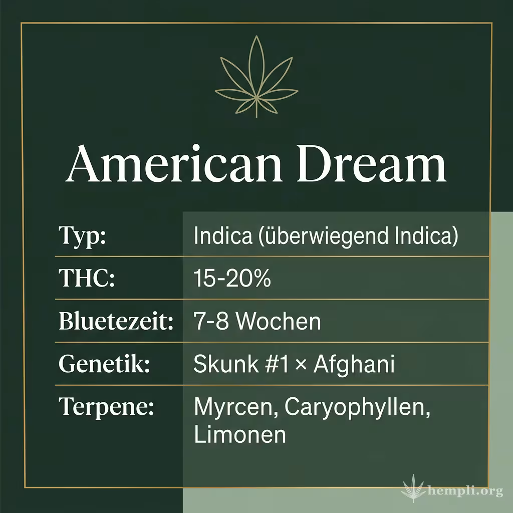 Infografik mit American Dream Key Facts: Typ Indica (überwiegend Indica), THC 15-20%, Bluetezeit 7-8 Wochen, Genetik Skunk #1 × Afghani und Terpene Myrcen, Caryophyllen, Limonen