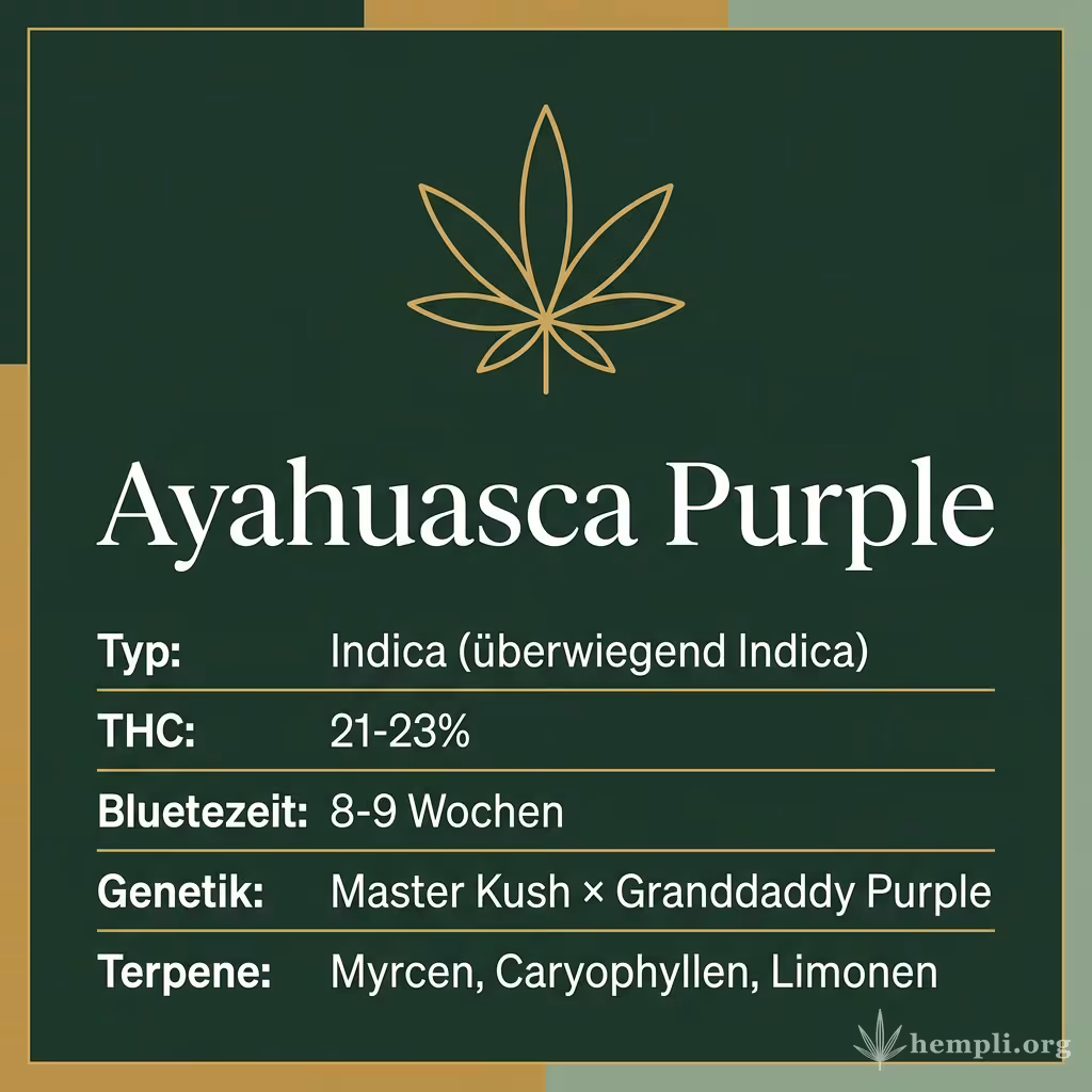 Infografik mit Ayahuasca Purple Key Facts: Typ Indica (überwiegend Indica), THC 21-23%, Bluetezeit 8-9 Wochen, Genetik Master Kush × Granddaddy Purple und Terpene Myrcen, Caryophyllen, Limonen
