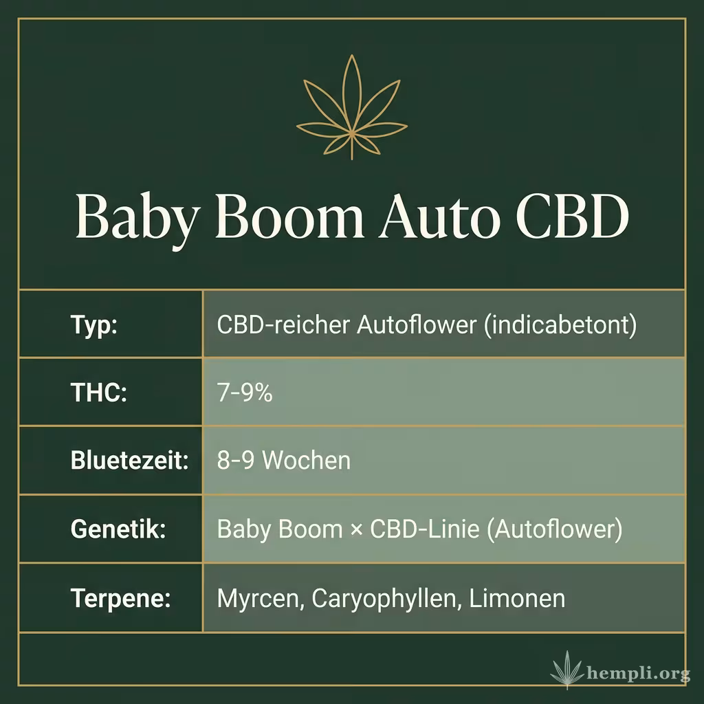 Infografik mit Baby Boom Auto CBD Key Facts: Typ CBD-reicher Autoflower (indicabetont), THC 7-9%, Bluetezeit 8-9 Wochen, Genetik Baby Boom × CBD-Linie (Autoflower) und Terpene Myrcen, Caryophyllen, Limonen