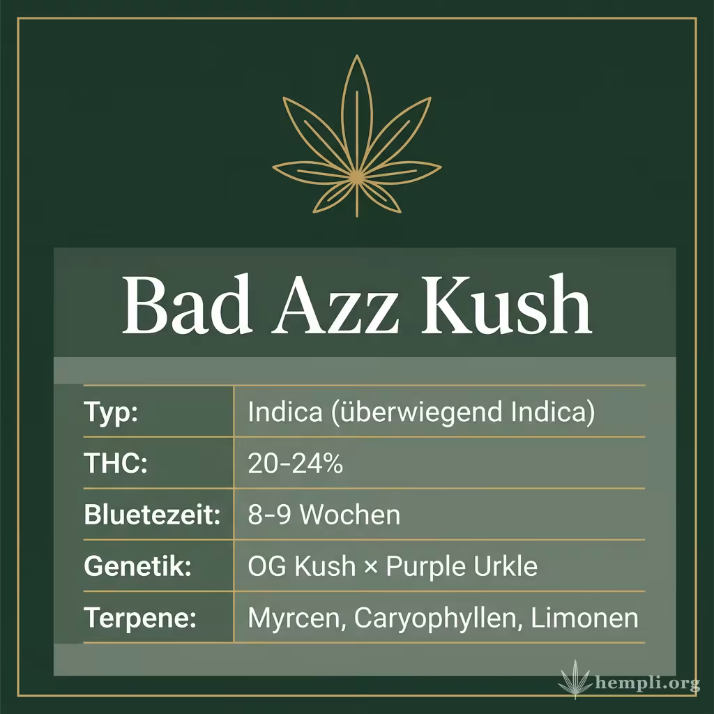Infografik mit Bad Azz Kush Key Facts: Typ Indica (überwiegend Indica), THC 20-24%, Bluetezeit 8-9 Wochen, Genetik OG Kush × Purple Urkle und Terpene Myrcen, Caryophyllen, Limonen