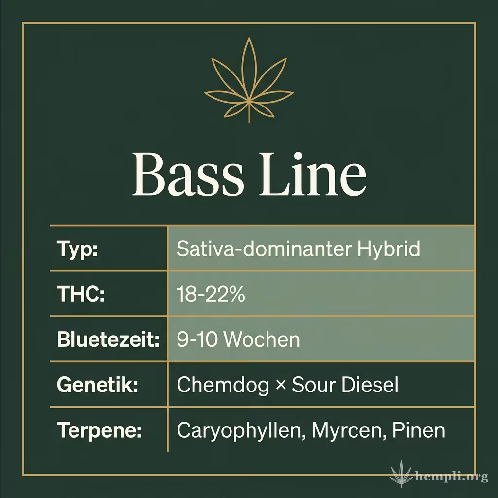 Infografik mit Bass Line Key Facts: Typ Sativa-dominanter Hybrid, THC 18-22%, Bluetezeit 9-10 Wochen, Genetik Chemdog × Sour Diesel und Terpene Caryophyllen, Myrcen, Pinen